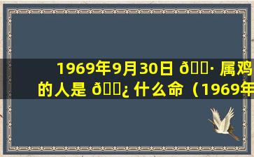 1969年9月30日 🌷 属鸡的人是 🌿 什么命（1969年9月30日阴历是多少）